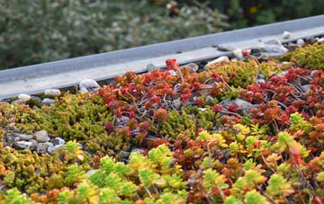 the cost of Sheriff Hill green roof installation