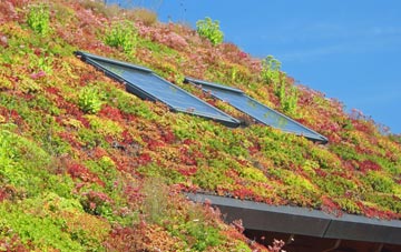 Sheriff Hill living roof systems