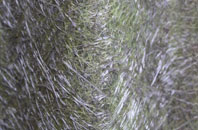 Sheriff Hill fibreglass roof work